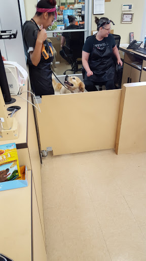 Pet Supply Store «Petco Animal Supplies», reviews and photos, 197 E Dekalb Pike #350, King of Prussia, PA 19406, USA