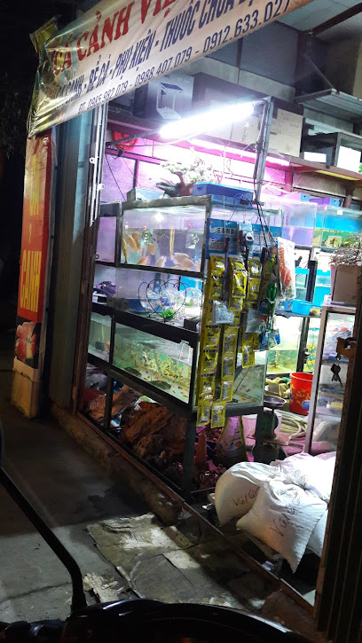 Cửa hàng cá cảnh ở Ninh Binh