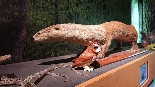 Nature Preserve «Meigs Point Nature Center», reviews and photos, 1288 Boston Post Rd, Madison, CT 06443, USA