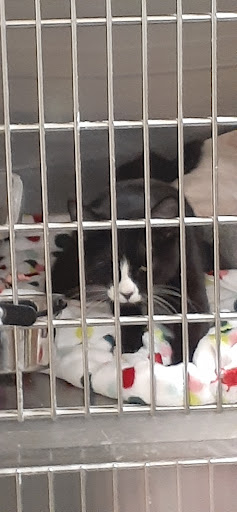 Pet Supply Store «PetSmart», reviews and photos, 2929 James Sanders Blvd f, Paducah, KY 42001, USA