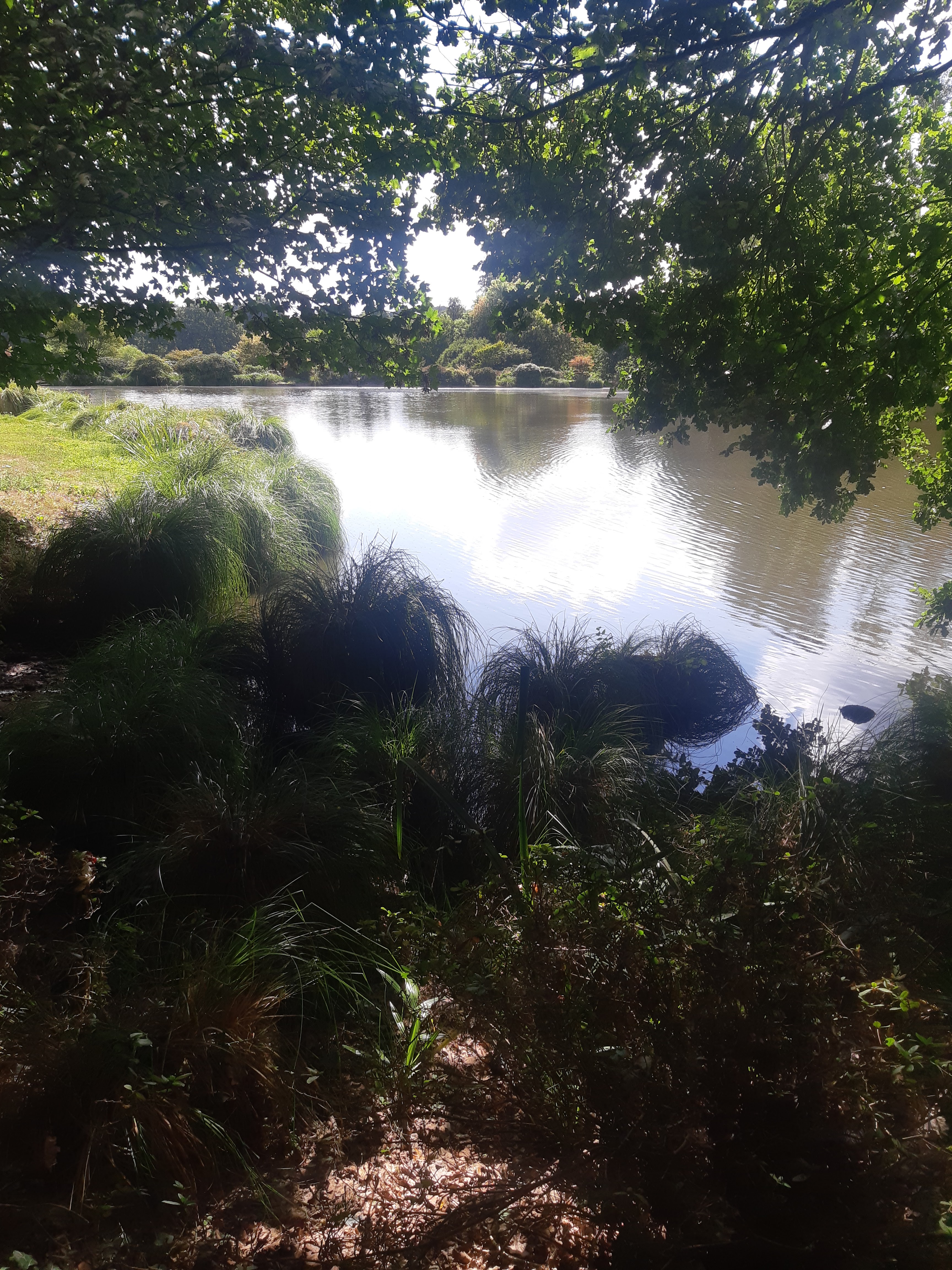 Photo n° 22 de l'avis de Monnin.h fait le 30/08/2022 à 15:51