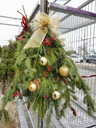 Christmas Tree Farms Direct