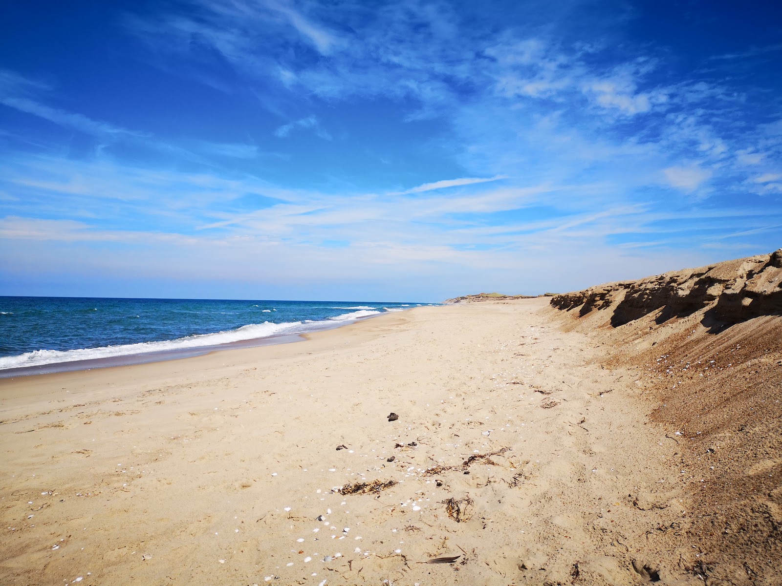 Foto van Agger Tange Beach met hoog niveau van netheid