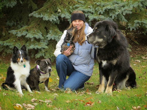 Kara's Critter Care, LLC Pet Sitting and Dog Walking