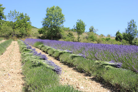 Couleurs Provence 105 La Grange des Meuniers Chemin de, 26170 Montguers, France
