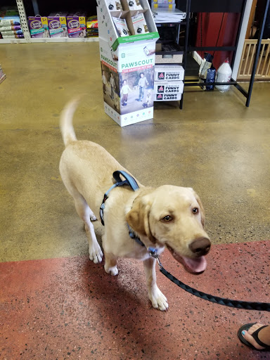 Pet Supply Store «One of the Family Pet Supply LLC», reviews and photos, 288 Lincoln Blvd, Middlesex, NJ 08846, USA