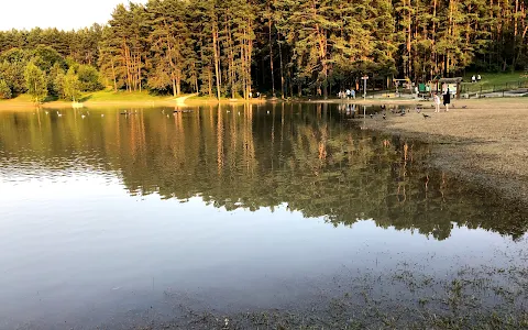 Šeškiuko small lake image