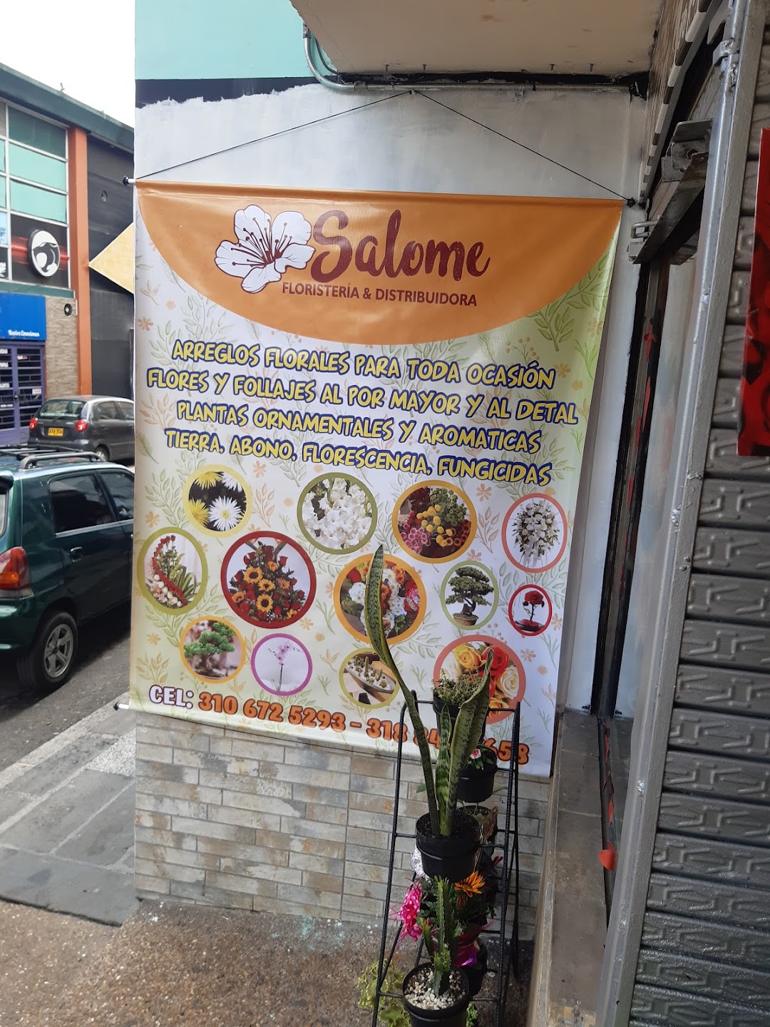 Floristeria y Distribuidora Salome