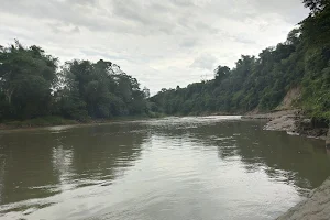 Davao River image