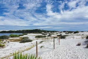 Grayton Beach State Park image