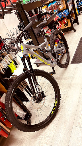 Bicycle Store «JB Bike Shop», reviews and photos, 7430 Collins Ave, Miami Beach, FL 33141, USA