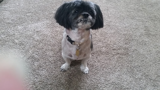 Pet Supply Store «PetSmart», reviews and photos, 4004 US-130, Delran, NJ 08075, USA