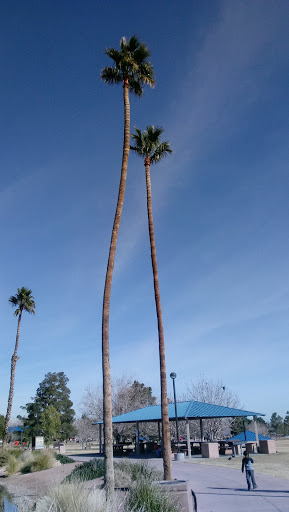 Park «Lorenzi Park», reviews and photos, 3343 W Washington Ave, Las Vegas, NV 89107, USA