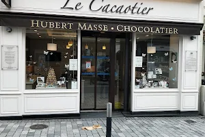 Le Cacaotier • Hubert Masse chocolatier image
