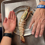 Photo n°3 de l'avis de Ellen. fait le 18/12/2023 à 13:00 sur le  Portugália Cervejaria à Lisbon