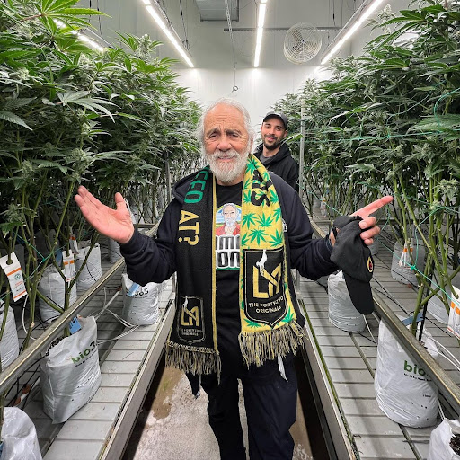 The WEED image