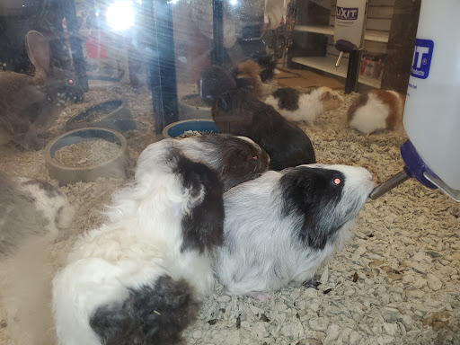 Pet Store «Back To Nature Pets & Grooming», reviews and photos, 110 N Dupont Hwy, New Castle, DE 19720, USA