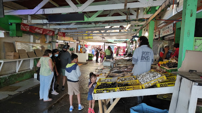 Opiniones de Caleta de San Antonio en El Quisco - Mercado