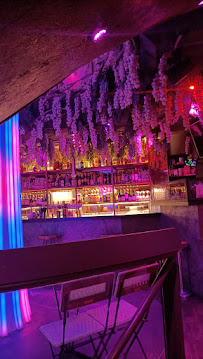 Atmosphère du La Reverie - Bar Restaurant Club à Paris - n°15