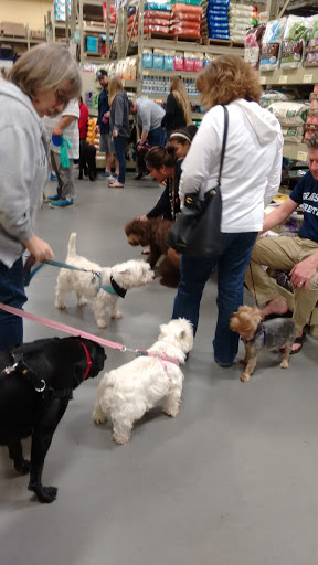 Pet Supply Store «Care-A-Lot Pet Supply Indian River», reviews and photos, 5457 Indian River Rd, Virginia Beach, VA 23464, USA