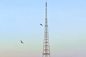 Fazilka TV Tower - Fazilka District, Punjab, India image