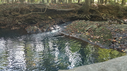 Nature Preserve «Autrey Mill Nature Preserve & Heritage Center», reviews and photos, 9770 Autrey Mill Rd, Johns Creek, GA 30022, USA