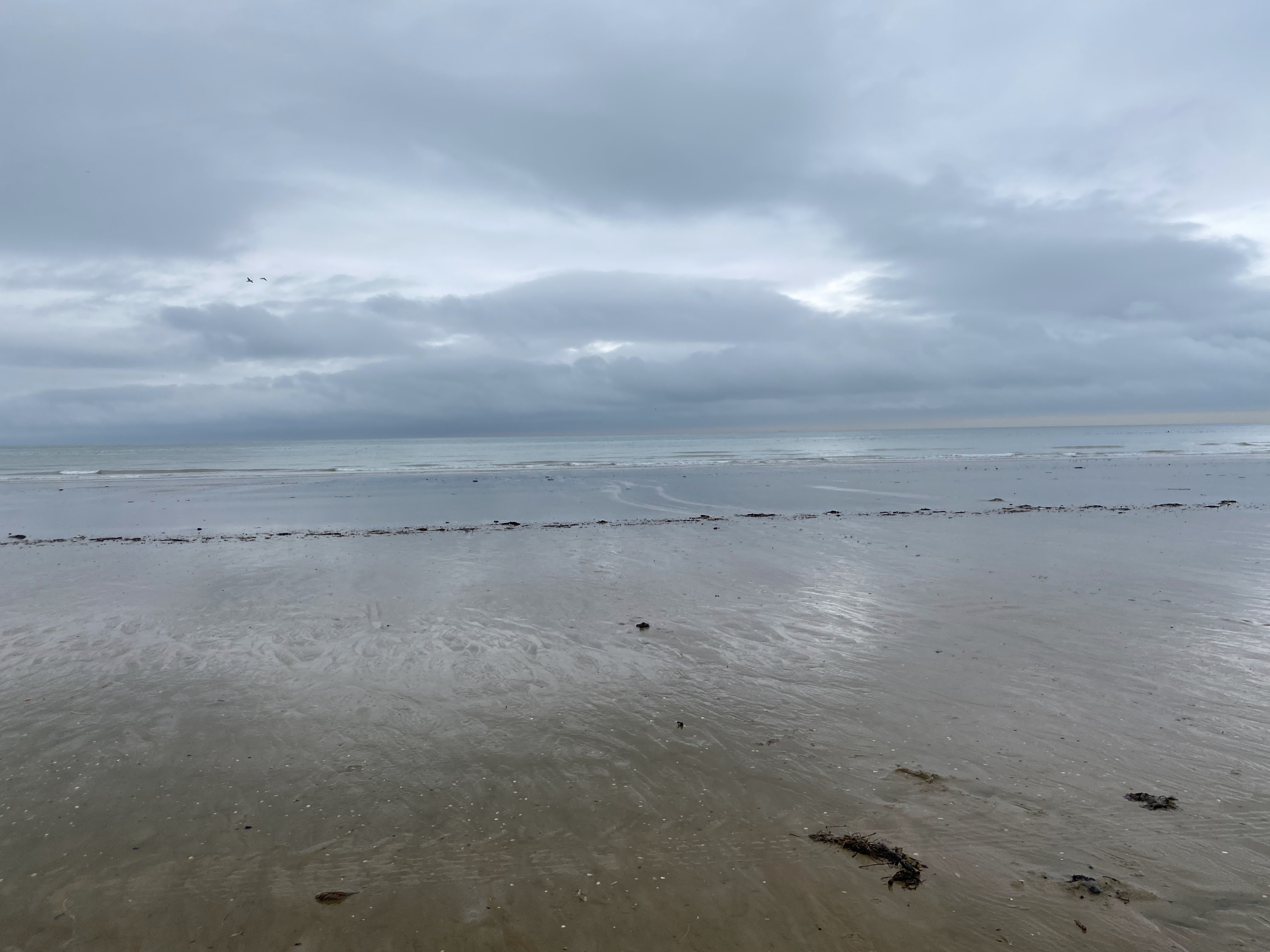 Photo n° 5 de l'avis de dominique.r fait le 30/11/2021 à 09:16