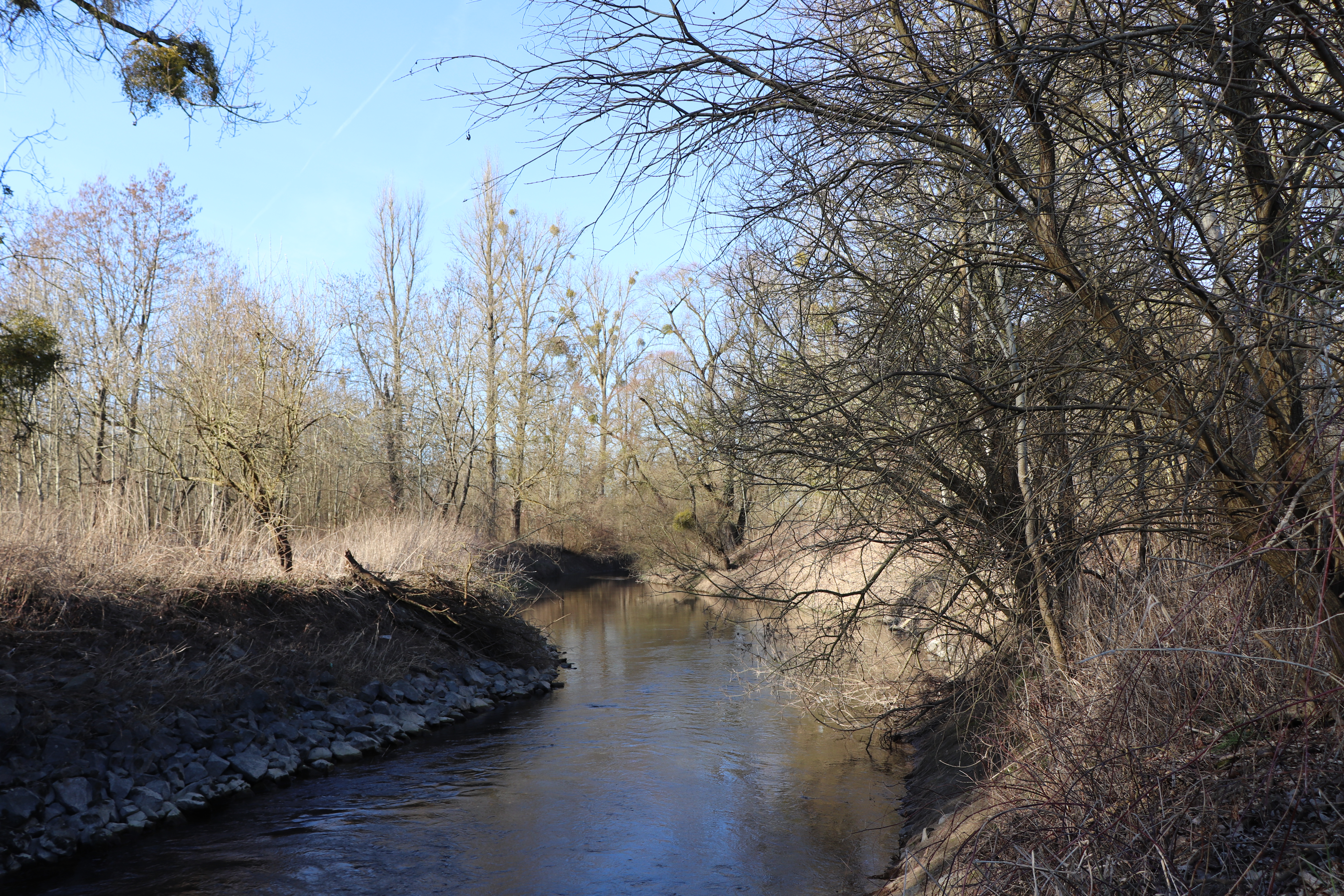 Photo n° 6 de l'avis de Thomas.c fait le 24/02/2019 à 19:03