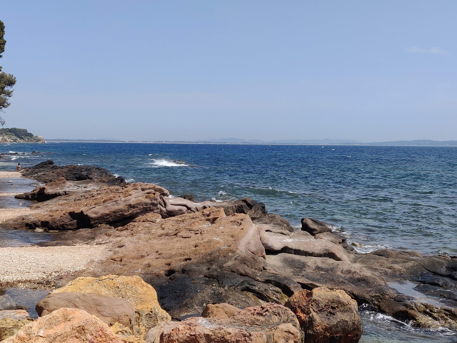 Plage Frederic Chopin'in fotoğrafı vahşi alan