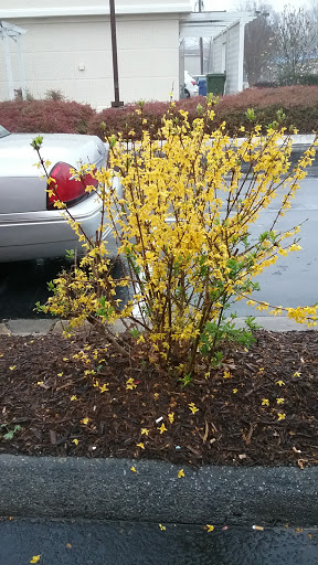 Bakery «Krispy Kreme Doughnuts», reviews and photos, 1911 4 Seasons Blvd, Hendersonville, NC 28792, USA