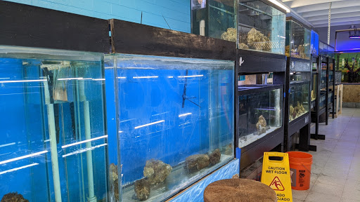 Aquarium «Skoolz of Fish», reviews and photos, 1503 Chamberlayne Ave, Richmond, VA 23222, USA
