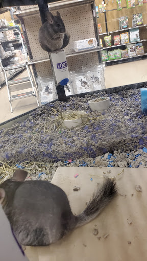 Pet Supply Store «Petco Animal Supplies», reviews and photos, 545 W Prien Lake Rd, Lake Charles, LA 70601, USA