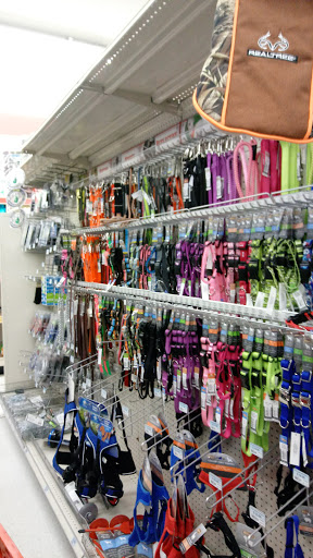 Home Improvement Store «Tractor Supply Co.», reviews and photos, 1159 OH-32, Batavia, OH 45103, USA