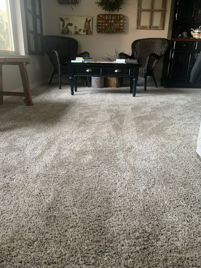 Blue Ribbon Carpet & Upholstery Cleaning