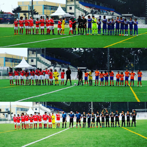 Avaliações doCampo Desportivo Estarreja em Estarreja - Campo de futebol