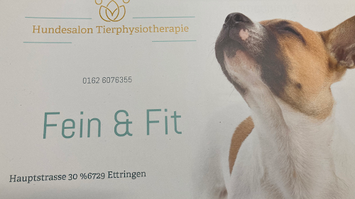 Hundesalon Fein & Fit à Ettringen