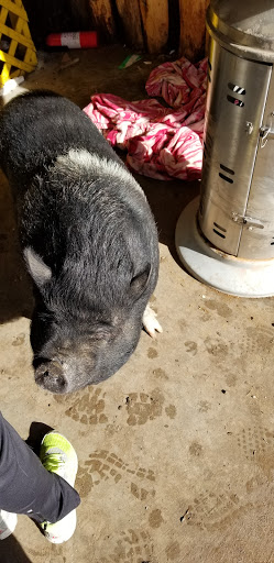 Produce Market «Fresh & Local Produce and Firewood», reviews and photos, 6573 N McDonald St, Melissa, TX 75454, USA