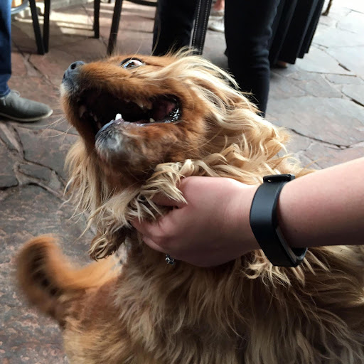 Insurance Agency «Integrity First Insurance», reviews and photos