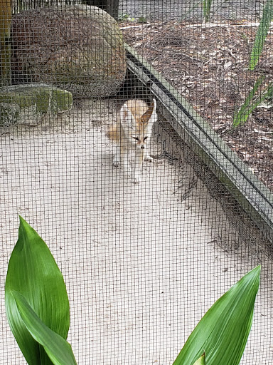 Water Park «Wild Adventures Theme Park», reviews and photos, 3766 Old Clyattville Rd, Valdosta, GA 31601, USA