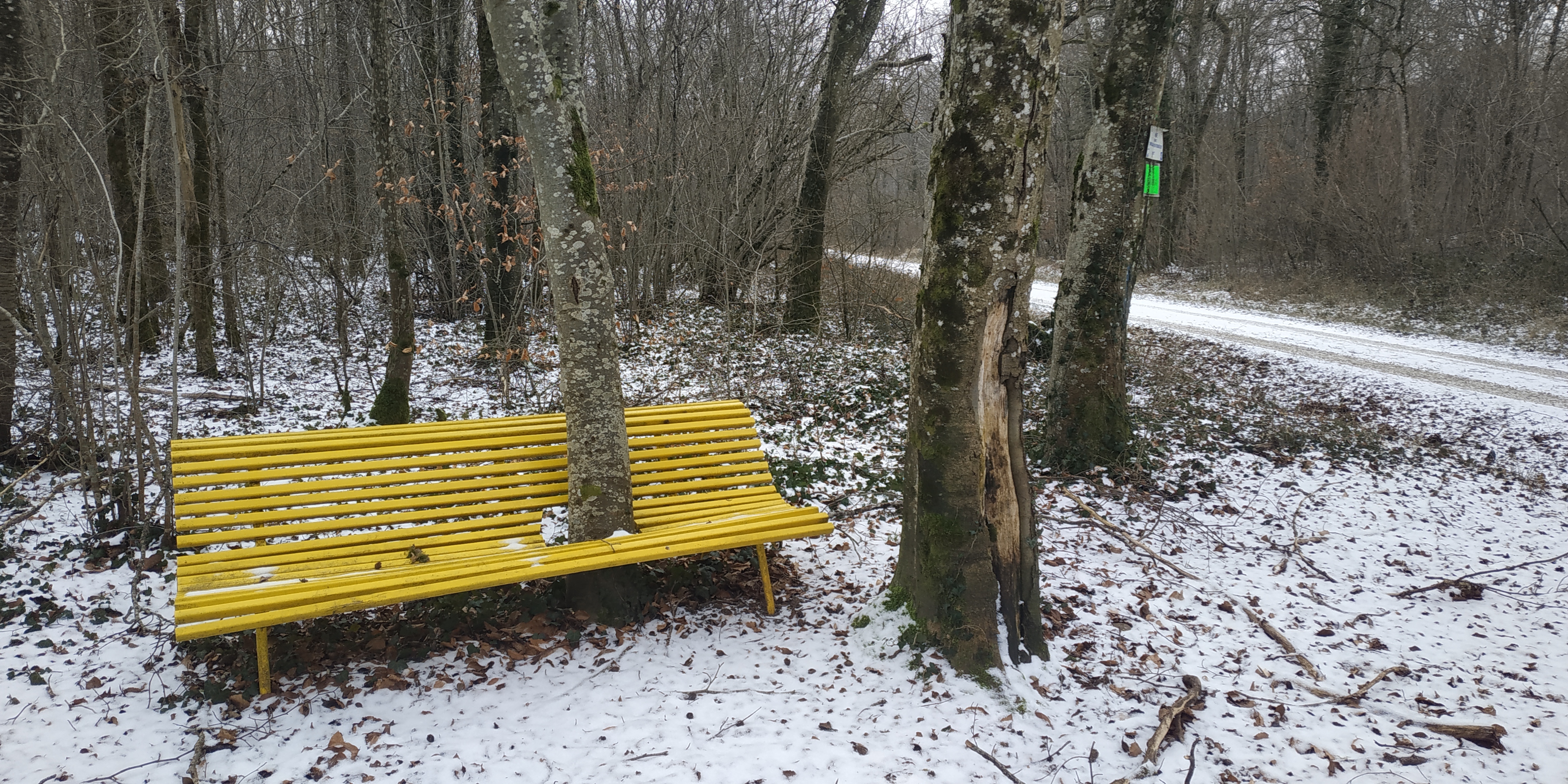 Photo n° 6 de l'avis de Marcel.a fait le 12/01/2024 à 18:10