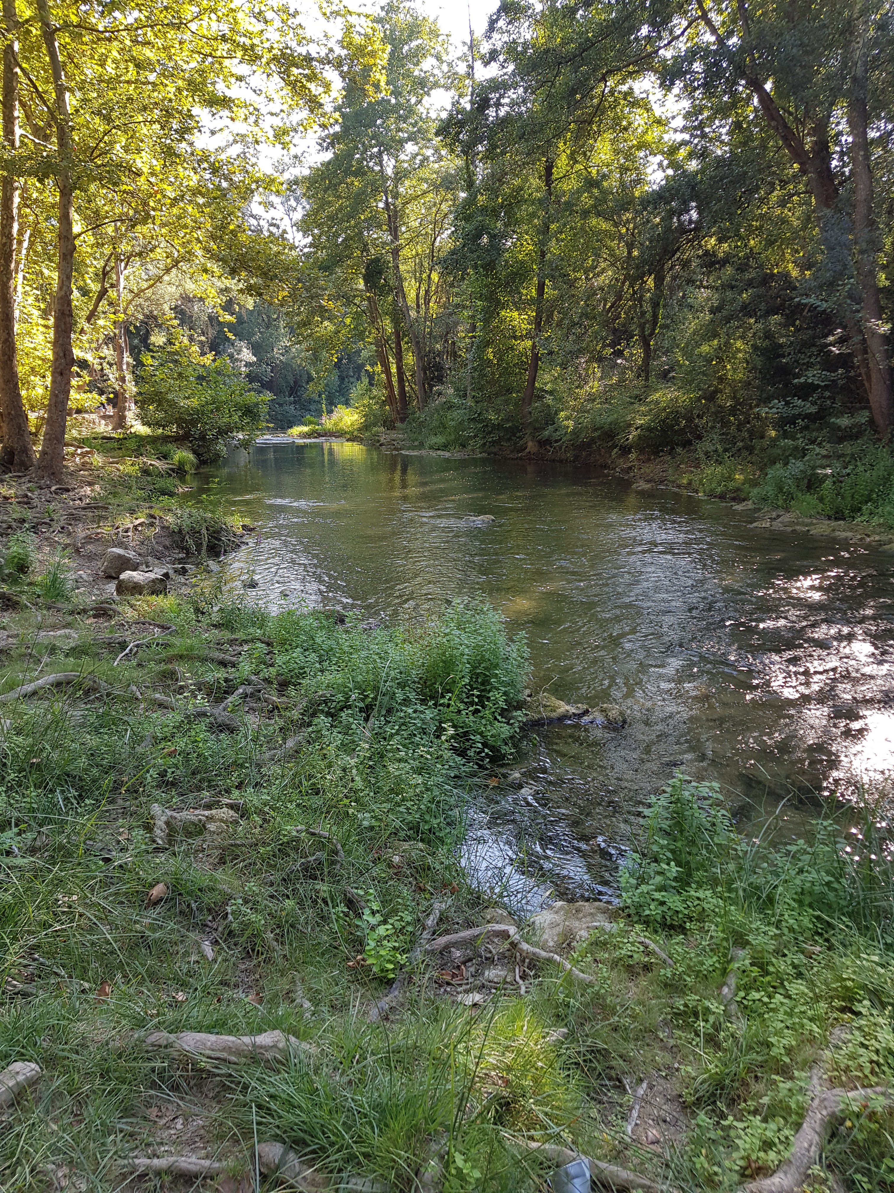 Photo n° 6 de l'avis de Jean-Luc.. fait le 25/08/2019 à 17:23