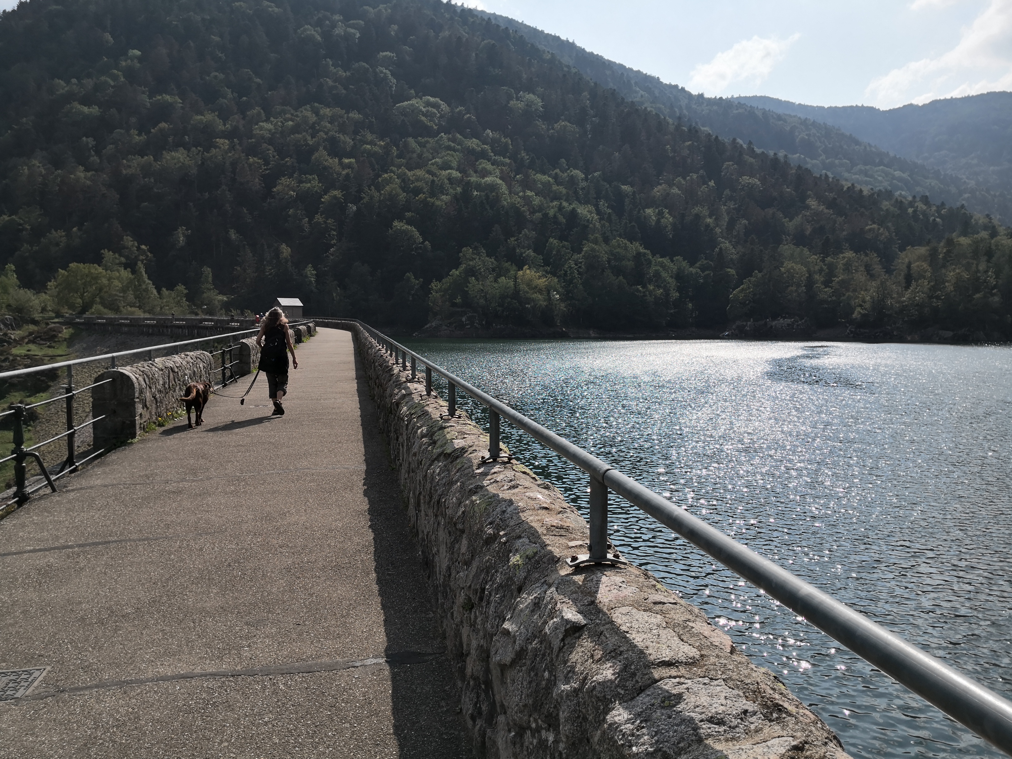 Photo n° 1 de l'avis de Harald.� fait le 29/08/2019 à 14:06