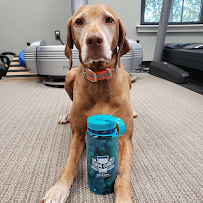 Prosperity Chiropractic - Photo 8 - Car repair in Charlotte, NC, Concord