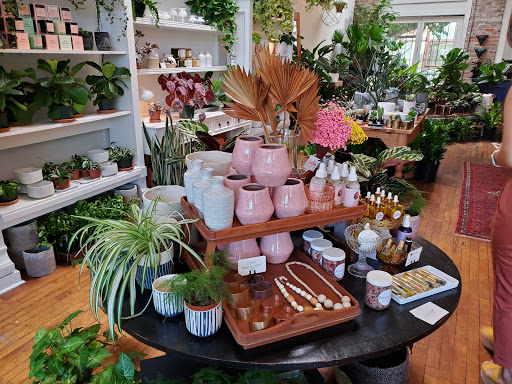 Florist «Fleur de Lis Fresh Flowers», reviews and photos, 516 Selby Ave, St Paul, MN 55102, USA