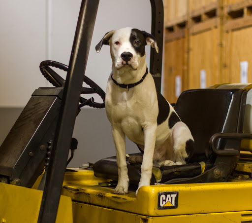 Moving Company «Camelot Moving & Storage», reviews and photos, 28040 Industry Dr, Valencia, CA 91355, USA