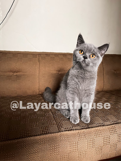 Layar Cat house / Layar Cattery