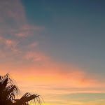 Photo n°1 de l'avis de Patrizia.i fait le 27/09/2022 à 07:54 sur le  Hotel Pellegrino Palace à Vieste