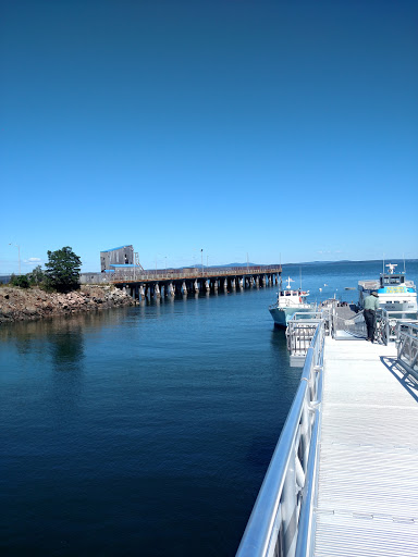 Tourist Attraction «Acadian Boat Tours», reviews and photos, 119 Eden St, Bar Harbor, ME 04609, USA