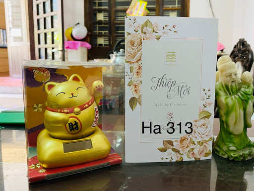 Việt Hà