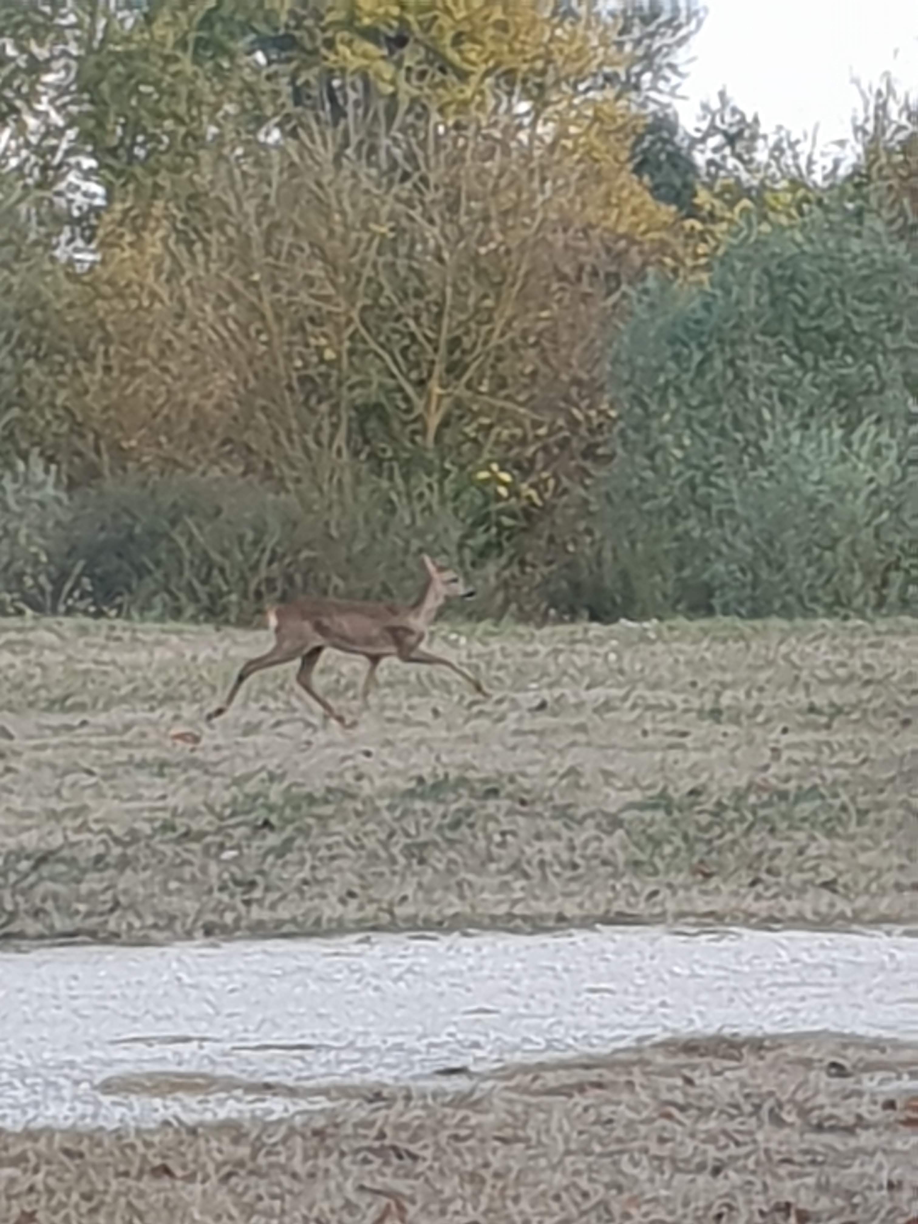 Photo n° 3 de l'avis de Fabien. fait le 28/10/2018 à 08:37